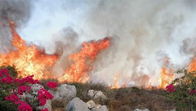 Photo of حريق بين بلدتي كفرفو وكرم سدة – زغرتا… والأهالي متخوّفون