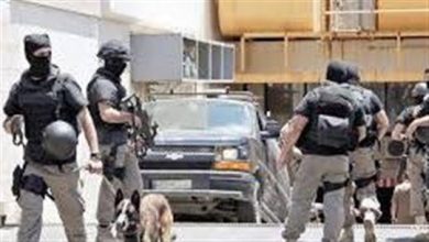 Photo of القوة الضاربة في قوى الأمن دهمت بلدة الخضر وأوقفت 3 مطلوبين