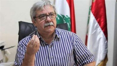 Photo of حنا غريب: لا نرى مبررا للتفاوض على ترسيم الحدود
