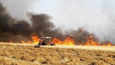 Photo of حريق في مرج بسري امتد الى احراج بحنين والدفاع المدني يحاصره