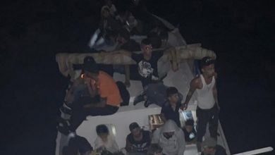 Photo of الجيش يحبط عملية تهريب 37 شخصاً عبر البحر
