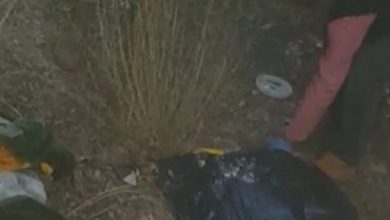 Photo of في بيت أيوب – عكّار.. مطاردة وإطلاق نار ومقتل المطلوب! (صورة)