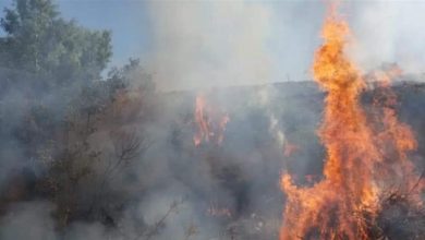 Photo of الدفاع المدني أخمد 3 حرائق في الضنية