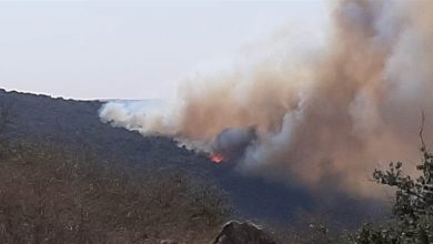 Photo of حريق في مزرعة فشكول حاصبيا