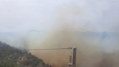 Photo of حريق في بلدة خزيز في الزهراني والاهالي يناشدون الدفاع المدني إخماده (صور)