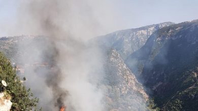 Photo of مخاوف مناشدات.. حرائق لبنان تقترب من المنازل السكنية!
