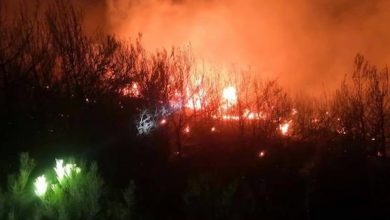 Photo of الدفاع المدني يتمكن من السيطرة على حريق داريا
