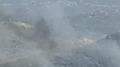 Photo of فيديو- حريق كبير في خزير وأهالي البلدة يناشدون الدفاع المدني التدخل