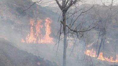 Photo of محاصرة حريق في خراج بلدة صبوبا والعمل جار على تبريد المكان