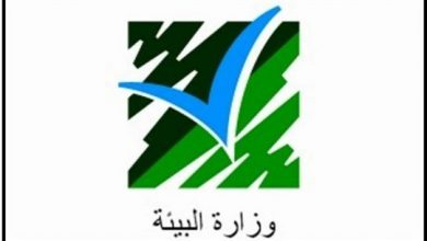 Photo of دورات تدريبية لشرطة البلدية لدعم قدرات البلديات في تحسين أداء عملها البيئي