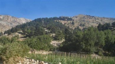Photo of مجهولون سرقوا محطة الكهرباء في جرد النجاص – الضنية