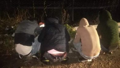 Photo of بلدية العقيبة: توقيف عصابة سرقة في البلدة فجر اليوم