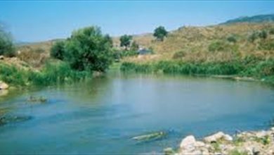 Photo of مصلحة الليطاني: الزام شركة البان لبنان بتنظيف 6 كلم من مجرى النهر