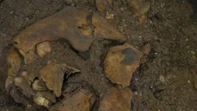 Photo of اكتشاف مخيف يعود لـ8 آلاف عام.. طفل مقطوع الأوصال