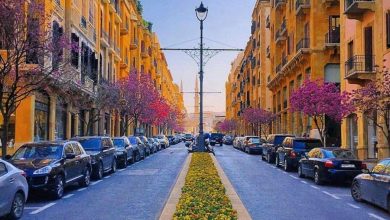 Photo of كيف توزعت إصابات “كورونا” الجديدة على البلدات؟