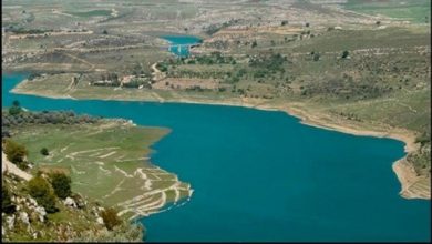 Photo of فرق مصلحة الليطاني ضبطت سارق السياج الحديدي في جب جنين