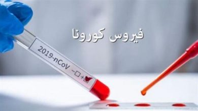 Photo of بلدية معروب: تمديد الإقفال العام حتى الأربعاء المقبل