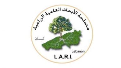 Photo of مصلحة الابحاث: مجموع الهطولات المطرية تجاوز مجموع العام المنصرم