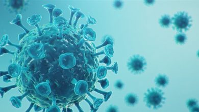 Photo of اليكم نتائج فحوص PCR لرحلات إضافية وصلت الى المطار…