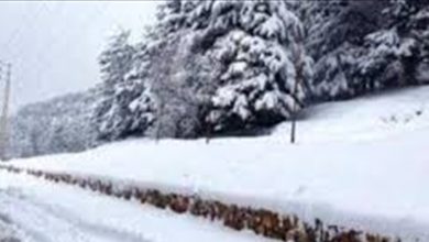 Photo of الطقس غائم مع امطار خفيفة.. وثلوج على 2000 متر