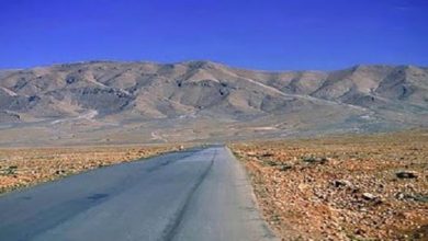 Photo of في بعلبك.. سلبت منه سيارته بعد رفضه تسليم مبلغ 5 ملايين ليرة!