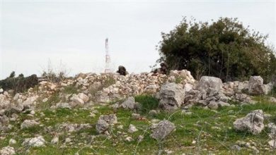 Photo of دبابة اسرائيلية خرقت السياج في كروم الشراقي