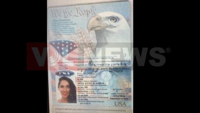 Photo of كيف دخلت الاسرائيلية الين تامير الى لبنان وقامت بجولتها؟… موقعنا يكشف جواز سفرها