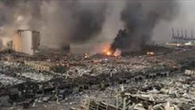 Photo of وفد أهالي شهداء الاطفاء: صوان أبلغنا إصدار الانتربول مذكرات في حق صاحب شحنة النيترات وقبطان السفينة