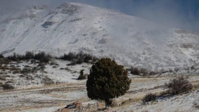 Photo of ثلوج وطرق مقطوعة في أعالي عكار