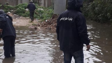 Photo of سرقة لمبات الإضاءة العامة في حديقة في القبة