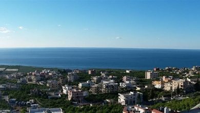 Photo of توتّر في عدلون.. والسبب فيديو يطال برّي