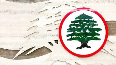 Photo of القوات: مقاربتنا الوطنية ترتكز على السيادة وادارة الدولة والشراكة