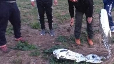 Photo of جسمٌ مشبوه في عدلون… وحال “رعب” بين الأهالي