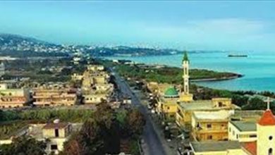 Photo of في المنية…إشكال وإطلاق نار والجيش يتحرك (فيديو)