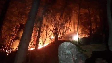 Photo of إخماد حريق اندلع في أحراج بلدة شوان الكسروانية