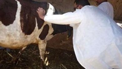 Photo of رصد حمى في قرى جنوبية.. وهذا ما طُلب من المواطنين منعاً للإنتشار