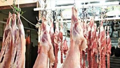 Photo of في البداوي..ملحمة تذبح بقرة نافقة وتبيعها للمواطنين و”الواسطة” تعيد فتحها