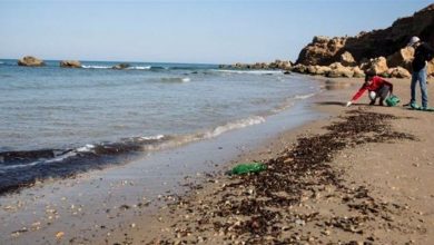 Photo of فريق المركز اللبناني للغوص يقوم بعمليات مسح للمناطق الملوثة بالبقع النفطية