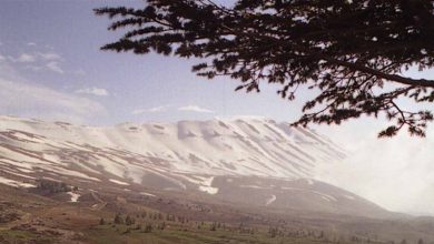 Photo of الأمطار عائدة.. هكذا ستتساقط بالأيام