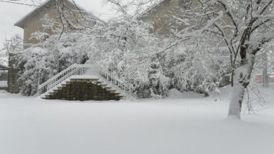 Photo of العاصفة Joyce مستمرّة.. وهذه الطرقات مقطوعة