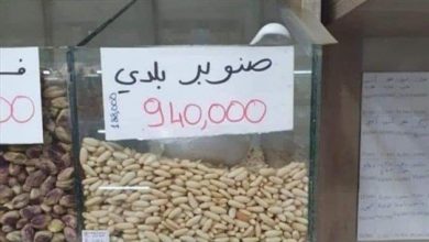 Photo of الصنوبر يربح المليون!