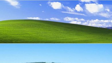 Photo of كُشف السر.. إليكم مكان التقاط صورة “ويندوز xp” الشهيرة!