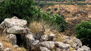 Photo of جرف أهم القبور الميغاليتية في عكار بحجة استصلاح الأرض