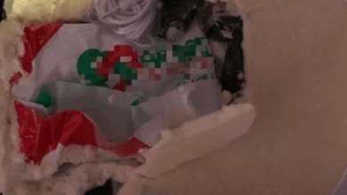 Photo of مخبأة بطريقة احترافية.. احباط محاولة ادخال هواتف الى سجن رومية (صور)