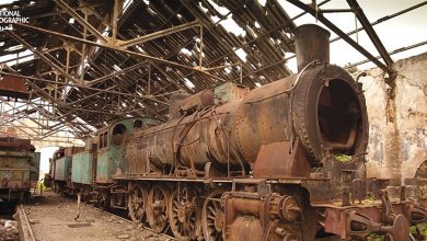 Photo of للركاب والبضائع.. عودة انطلاق القطار في لبنان ليست مستحيلة وهذا ما عليكم معرفته