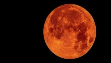 Photo of المريخ على الأرض… بحيرة تركية ربما تحمل دلالة على حياة بالكوكب الأحمر