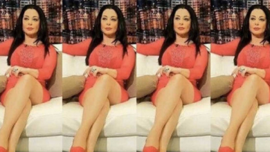 Photo of فنانة لبنانية تنعت زميلتها بـ”بقرة الدراما”