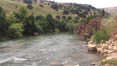 Photo of مصلحة الليطاني: شكوى ضد مجرمين يصطادون الاسماك من بحيرة القرعون بالمبيدات والوسائل غير التقليدية