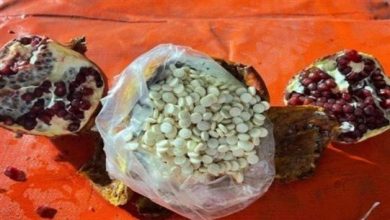 Photo of أراضي لبنان تحوّلت إلى “ناقلة مخدّرات”