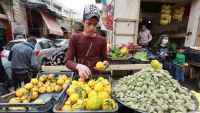 Photo of الكويت تدقّق في شحنات الخضار والفواكه اللبنانية وتسمح باستيرادها بحراً وجوًّا فقط